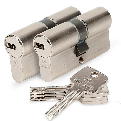 Bricard lot de 2 cylindres Astral pour serrure - 30+30 mm