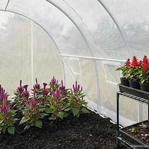 VidaXL Serre - 9 m² Blanc