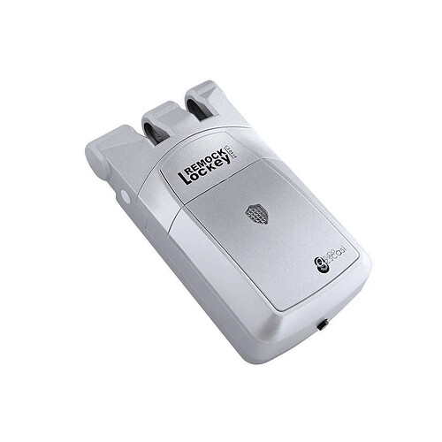 REMOCK LOCKEY Verrou Invisible Pro