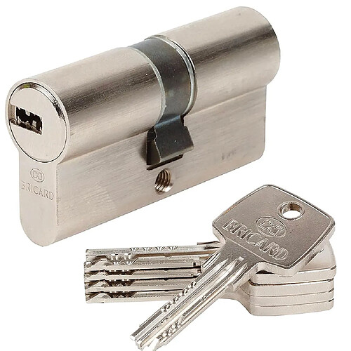 Bricard cylindre de serrure Astral 11734