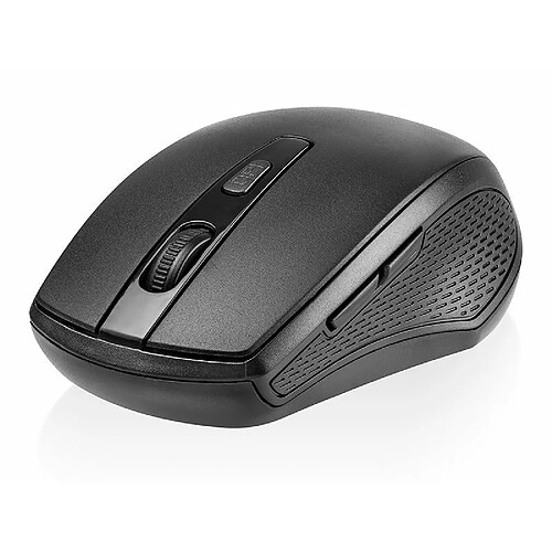 Souris noire