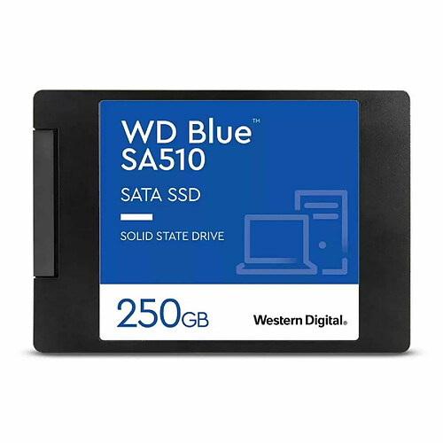 Western digital WD Blue SA510 250Go 2,5"