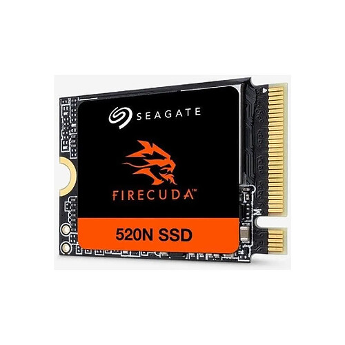 Seagate Technology Seagate FireCuda 520N - 1 To