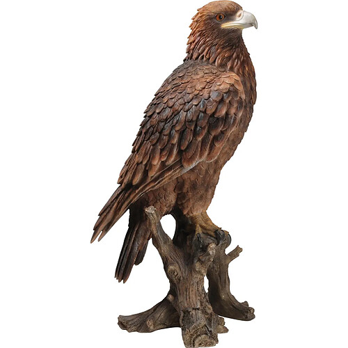 Vivid Arts Aigle royal résine
