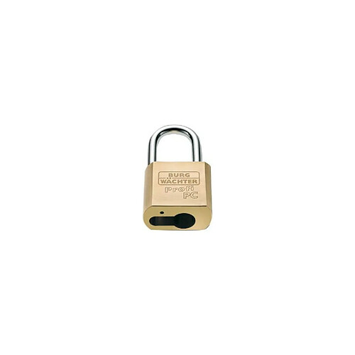 BURG-WÄCHTER Burg Wächter Cadenas pour Semi-cylindre
