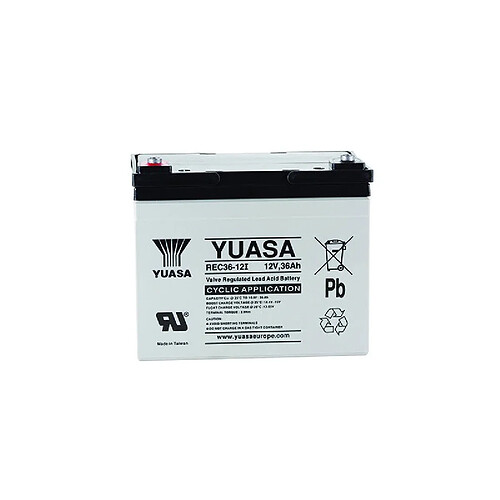 Yuasa REC36-12 - Batterie Plomb Étanche - 12V 36Ah