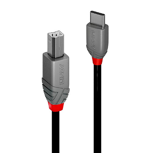 Lindy Câble USB 36943