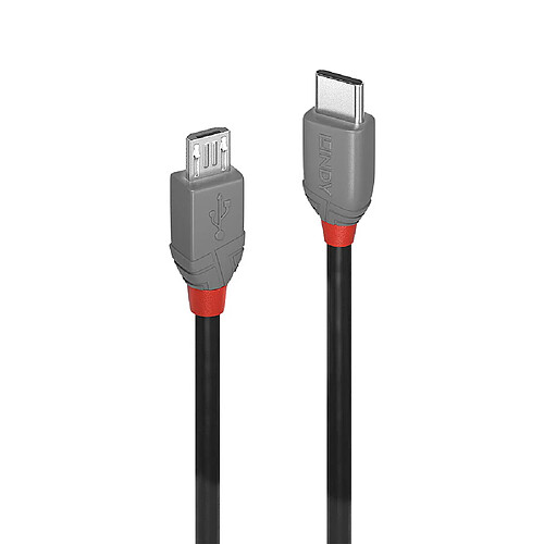 LINDY Câble USB 2m USB C Micro-USB