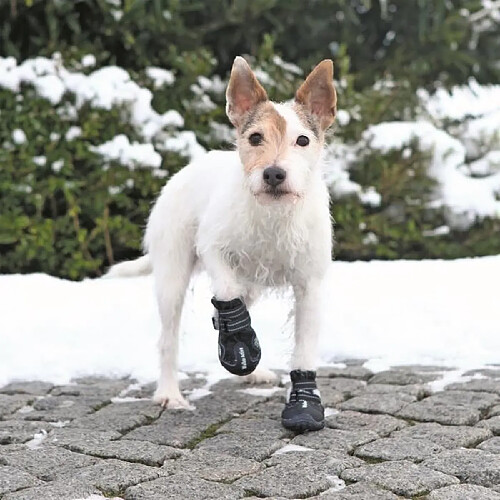 TRIXIE Walker Active Bottes S-M Noir