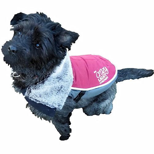 Rosewood Veste à LED pour chien - Taille 15