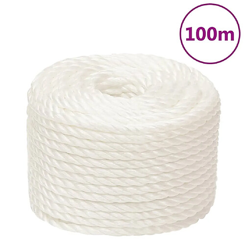 vidaXL Corde de travail 10 mm - 100 m - Blanc