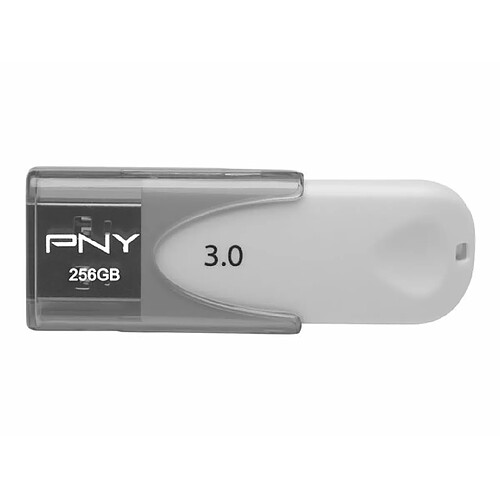 PNY Attaché 4 3.0 - 256 Go