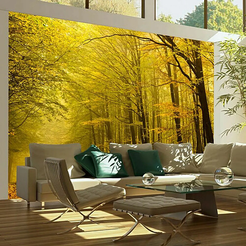 Paris Prix Route dans la Forêt D'automne 193 x 250 cm
