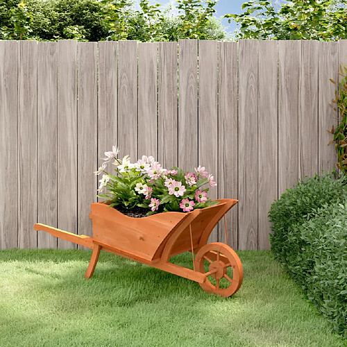 vidaXL Jardinière brouette 364229