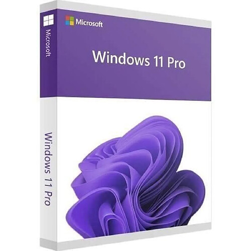 Windows 11 Pro (Compatible Windows 10 Pro)