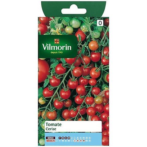 Tomate Cerise Vilmorin