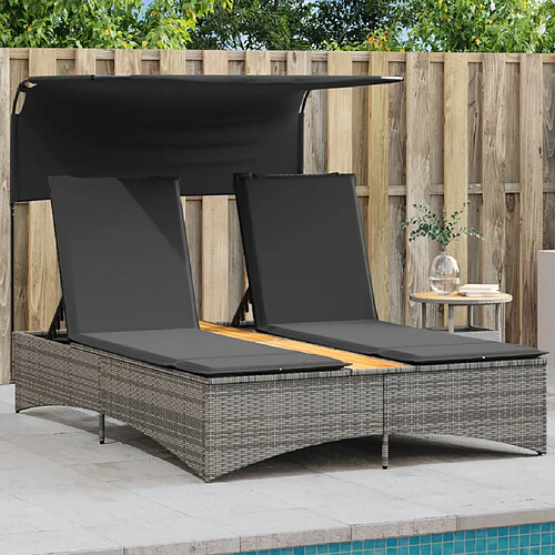 vidaXL Chaise Longue Double avec Auvent - Gris