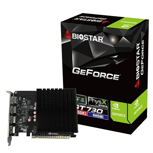 Biostar VN7313TG46 4Go
