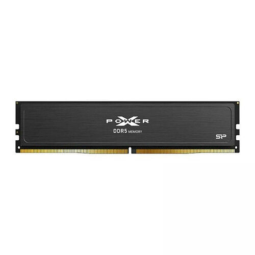 Silicon-Power Silicon power SP016GXLWU64AFSJ 16Go 6400MHz DDR5