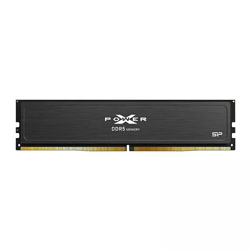 Silicon-Power Silicon Power SP032GXLWU560FDJ 32 GB DDR5