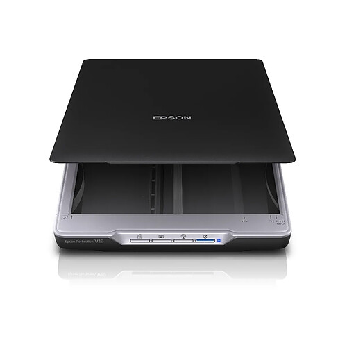 Epson Perfection V19