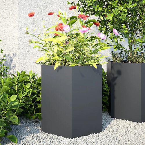 vidaXL Jardinières 851113 - Anthracite