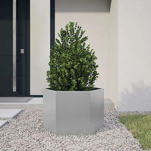 vidaXL Jardinière hexagone acier