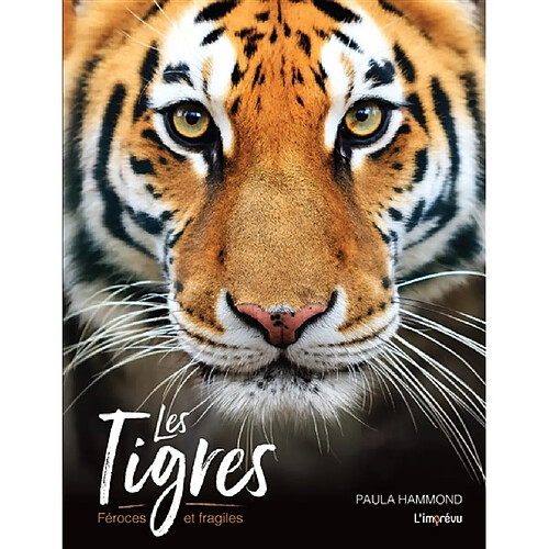 Les tigres : féroces et fragiles · Occasion