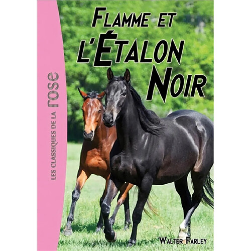 L'étalon noir. Vol. 17. Flamme et l'étalon noir · Occasion