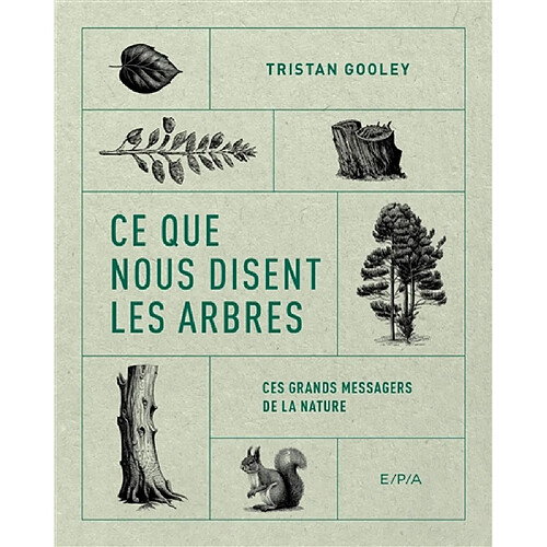 Ce que nous disent les arbres : ces grands messagers de la nature