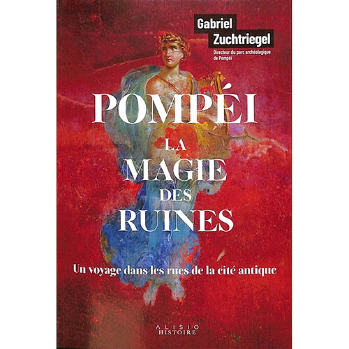 Pompéi, la magie des ruines : un voyage dans les rues de la cité antique · Occasion