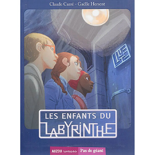 Les enfants du labyrinthe · Occasion