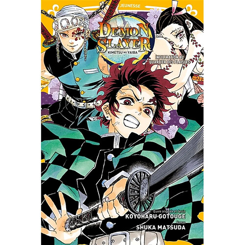 Demon slayer : Kimetsu no yaiba. Vol. 4. Infiltration au quartier des plaisirs