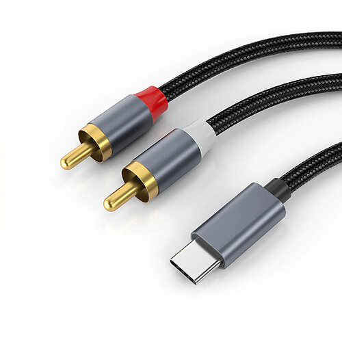 INF Câble audio stéréo USB-C vers 2x RCA