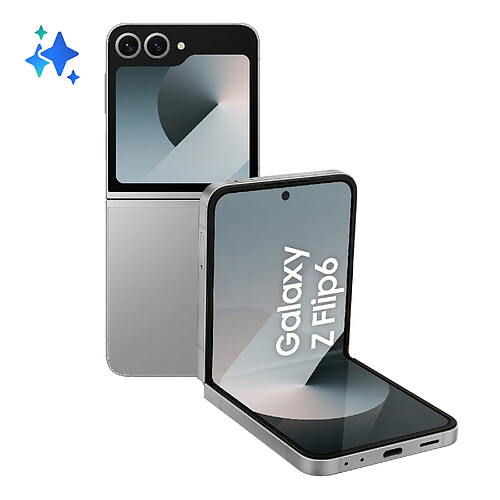 Samsung Galaxy Z Flip 12Go/512Go - Gris