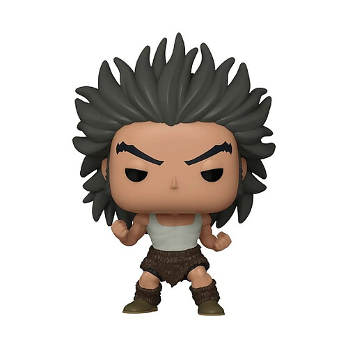 Funko figurine POP Hunter x Hunter Uvogin