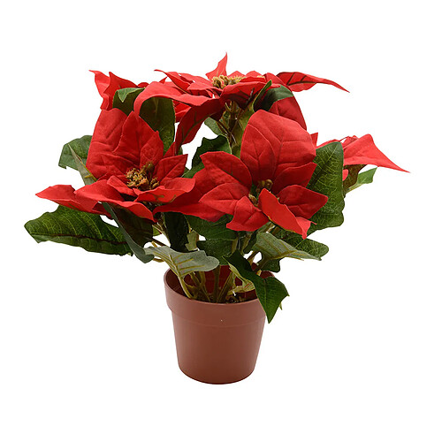 Lifetime Plante Décorative Poinsettia Rouge Ø 27 cm