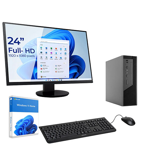 Sedatech Pack Mini-PC, AMD Ryzen 5 8500G, 32Go DDR5, 2To SSD, DVD, Win 11, Ecran 24''