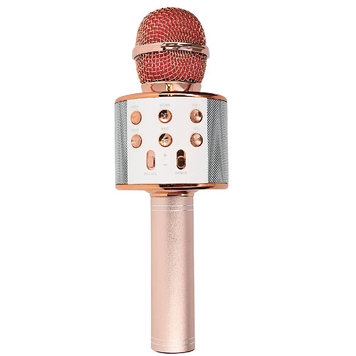 Avizar Micro karaoké Bluetooth - Rose