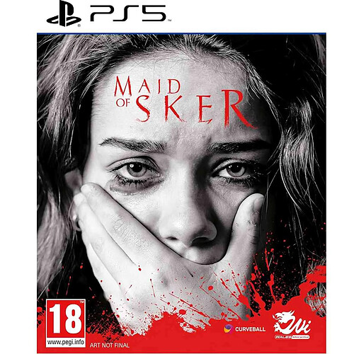 KOCH Media MICROIDS Maid of Sker PS5