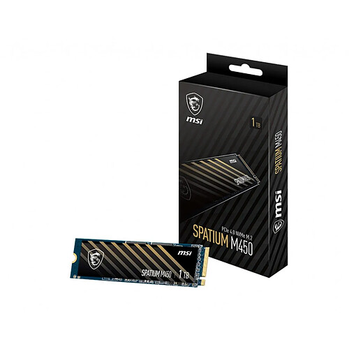 Msi Spatium M450 V1 1Go M.2 2280
