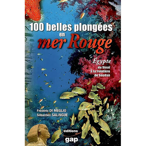 100 belles plongées en mer Rouge : Egypte, du Sinaï à la frontière du Soudan · Occasion