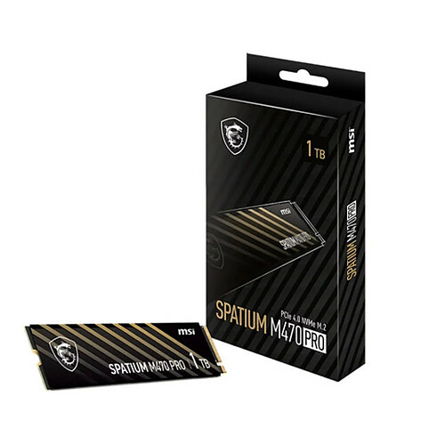 Msi Spatium M470 Pro 1Go M.2