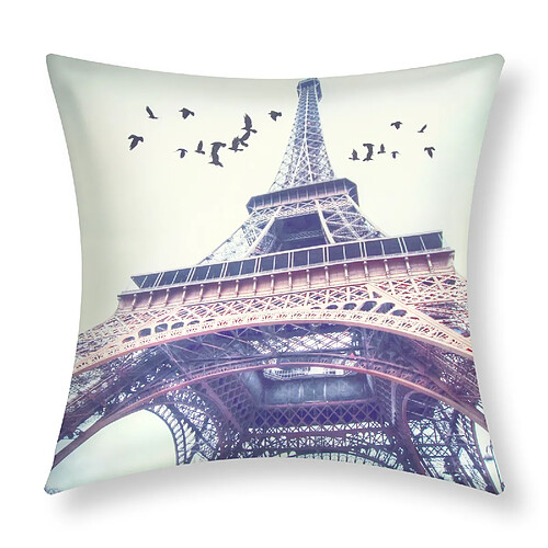 AVIZAR Housses de Coussin - Dame de Fer 40x40 cm