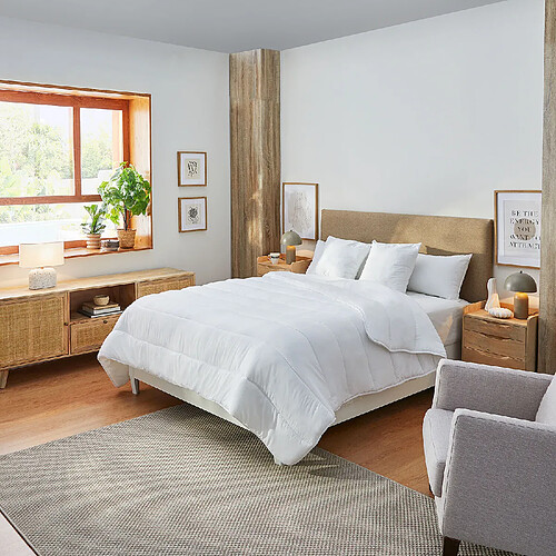 PIKOLIN Couette Nordique avec Aloe Vera - Fibre de 300g - Automne - 220x220 cm - Lit 140