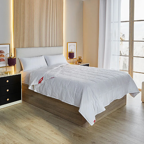 PIKOLIN Couette Nordique en Duvet - 2 en 1 - 120gr + 160gr - 4 Saisons - 180x220cm-Lit 100/105