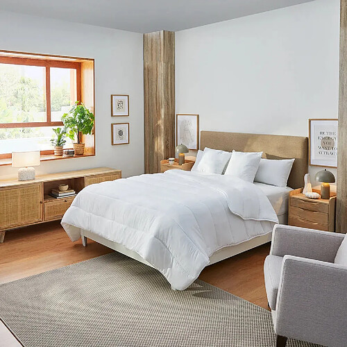 PIKOLIN Couette Nordique en Fibre Ecolofil Aloe Vera Automne-Hiver