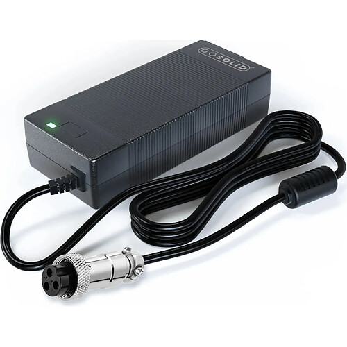 Chargeur GO SOLID! pour Teverun Fighter 11+