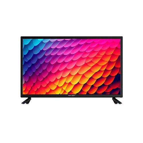 Schneider 24BN4 - HD