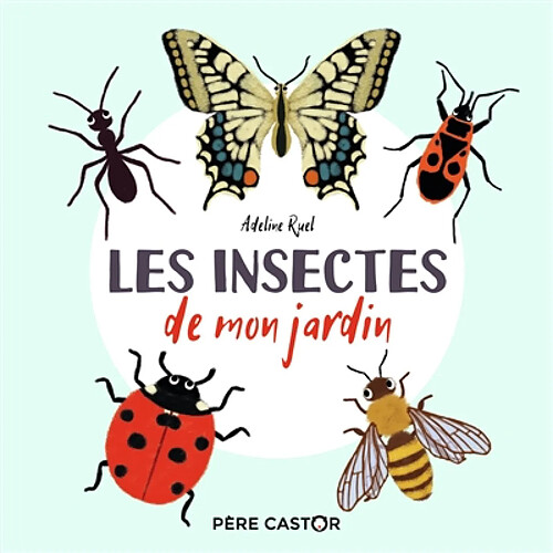 Les insectes de mon jardin · Occasion